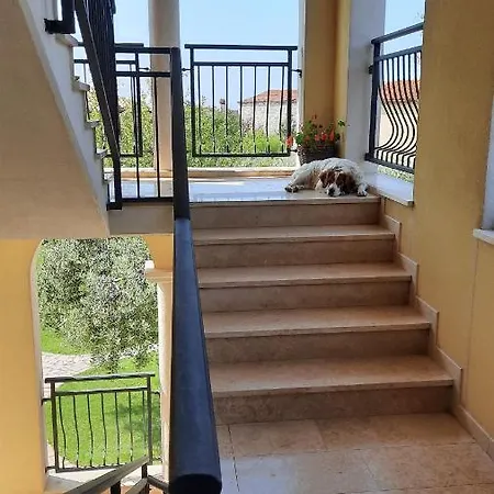 Grbin Apartment *