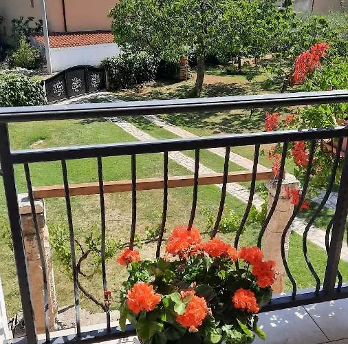 Apartment Grbin