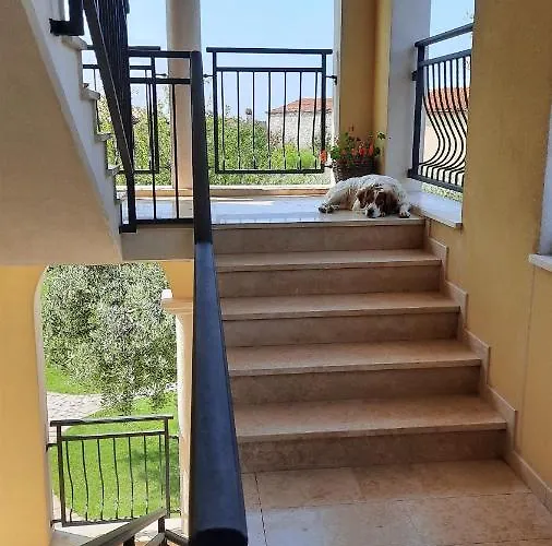 Grbin Apartment *
